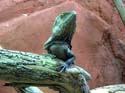 artis08 12-8-2007 12-34-12