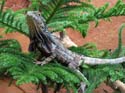 artis08 12-8-2007 12-34-57