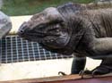artis08 12-8-2007 12-36-42