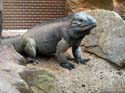 artis08 12-8-2007 12-37-30