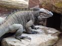 artis08 12-8-2007 12-37-37