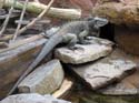 artis08 12-8-2007 12-37-44