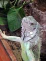 artis08 12-8-2007 12-39-37