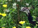 artis08 12-8-2007 13-14-14