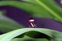 artis08 12-8-2007 13-27-50