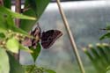 artis08 12-8-2007 13-28-21