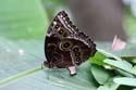 artis08 12-8-2007 13-29-03