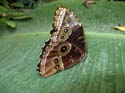 artis08 12-8-2007 13-29-18