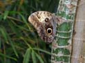 artis08 12-8-2007 13-30-01