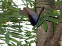 artis08 12-8-2007 13-30-26