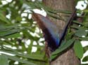 artis08 12-8-2007 13-30-58