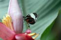 artis08 12-8-2007 13-31-25