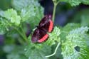 artis08 12-8-2007 13-35-28