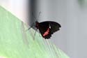 artis08 12-8-2007 13-37-25