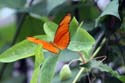artis08 12-8-2007 13-37-54