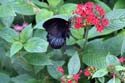artis08 12-8-2007 13-38-42