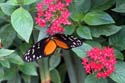 artis08 12-8-2007 13-49-46
