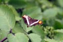 artis08 12-8-2007 13-51-17