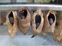 artis08 12-8-2007 13-51-18