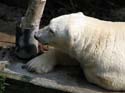 artis08 12-8-2007 14-17-43