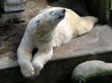 artis08 12-8-2007 14-19-40