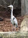 artis08 12-8-2007 14-21-23
