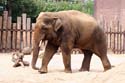 artis08 12-8-2007 14-41-37