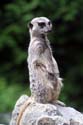 artis08 12-8-2007 14-48-01