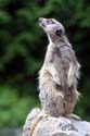 artis08 12-8-2007 14-48-06