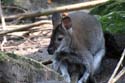 artis08 12-8-2007 14-56-19