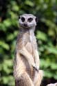 artis08 12-8-2007 14-58-02