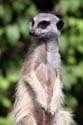 artis08 12-8-2007 14-58-16
