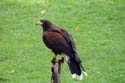 artis08 12-8-2007 14-59-48