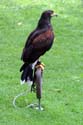 artis08 12-8-2007 15-00-36