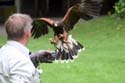 artis08 12-8-2007 15-19-27