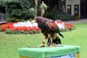 artis08 12-8-2007 15-19-34