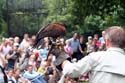 artis08 12-8-2007 15-19-39