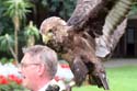 artis08 12-8-2007 15-28-54