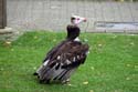 artis08 12-8-2007 15-31-37