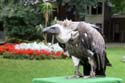 artis08 12-8-2007 15-33-01