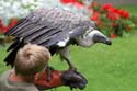 artis08 12-8-2007 15-34-01