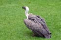 artis08 12-8-2007 15-34-10