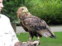 artis08 12-8-2007 15-38-32