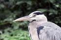 artis08 12-8-2007 16-03-30