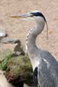 artis08 12-8-2007 16-04-01