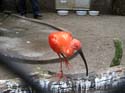 artis08 12-8-2007 16-24-07