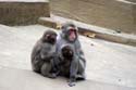 artis08 12-8-2007 16-39-44