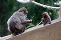 artis08 12-8-2007 16-41-17