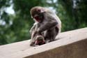 artis08 12-8-2007 16-43-11