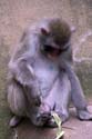 artis08 12-8-2007 16-44-22